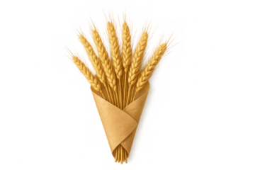 Wheat ears bouquet tied with twine, bundled in kraft paper, resting against transparent backdrop, showcasing rustic harvest elegance