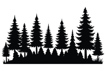 Obraz premium Silhouetted evergreen forest trees winter landscape