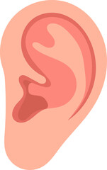 illustration of a human ear