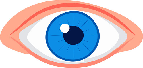 eye 