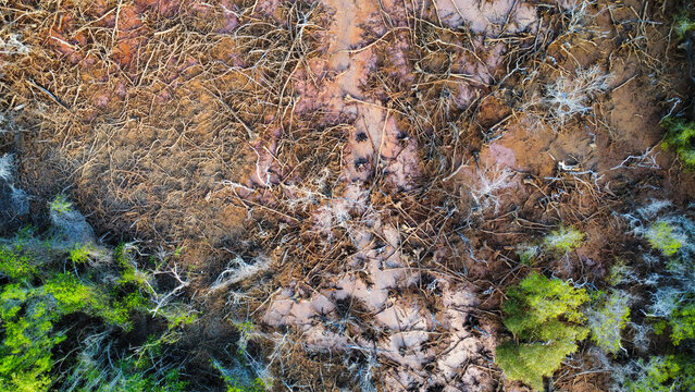A bare patch in a forest near the coast in Australia, Queensland, seen from above