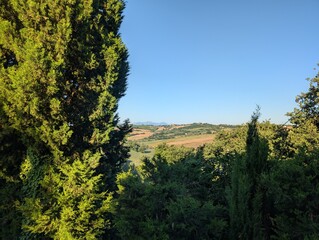 Panorama delle campagne marchigiane in estate