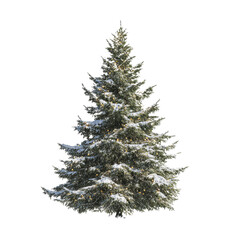Snow-Covered Christmas Tree with Lights Isolated on White Transparent background