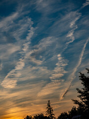 Viele Kondensstreifen am blauen Himmel