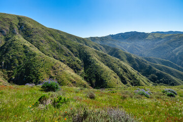 Fototapeta premium Panoramic view of Big Sur coastline from Soberanes Canyon Trailhead, with green hills, ocean cliffs, and a winding trail above Highway 1 along the California coast