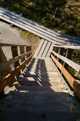 Wooden stairs leading down from birdwatching tower
