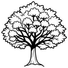 Obraz premium Camphor Tree line art vector