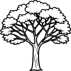 Camphor Tree line art vector