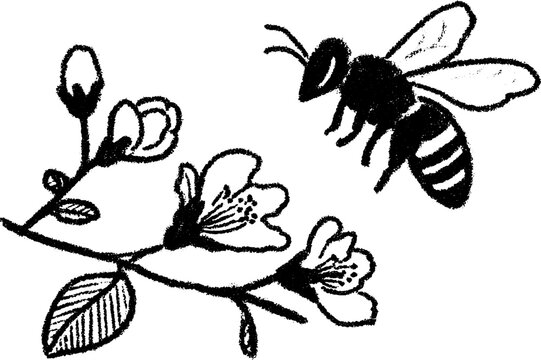 Charming bee flying near blossom in bold black sketch design for nature themes
