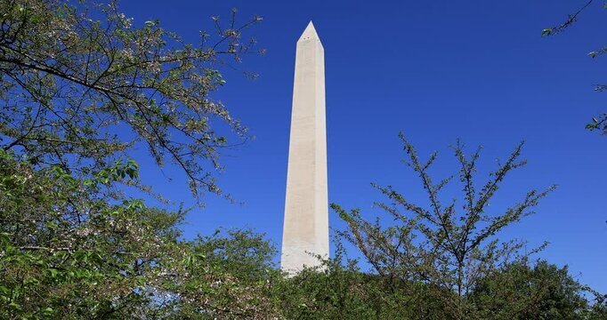 Washington Monument through cherry blossoms Washington DC. Commemorate George Washington, Founding Father of the United States, first President. World's tallest obelisk at 554 feet.