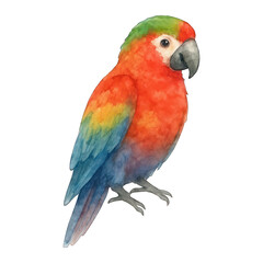 PNG Colorful parrot watercolor illustration.