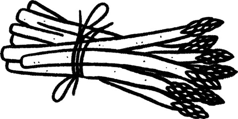 Hand-drawn sketch of asparagus bundle with string for creative design