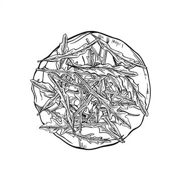 arugula leaves on plate, black and white clip art preview
