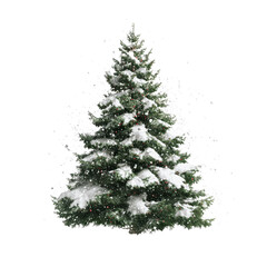 Snow-Covered Christmas Tree with Falling Snow on White Transparent background