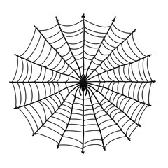 Fototapeta premium Black spiderweb with spider in center Halloween decoration