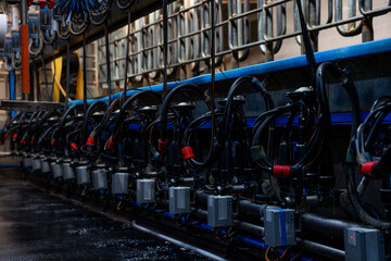 Modern milking parlor setup with rows of milking machines, tubes, hoses, and control boxes. Metal...