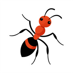 Ant vector illustration on transparent background for web and graphic design