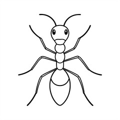 Ant insect outline drawing on transparent background for web and graphic design