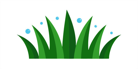 Close up of grass with dew drops vector on transparent background for web and graphic design