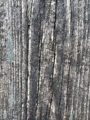 Obraz premium Texture of an old wooden board