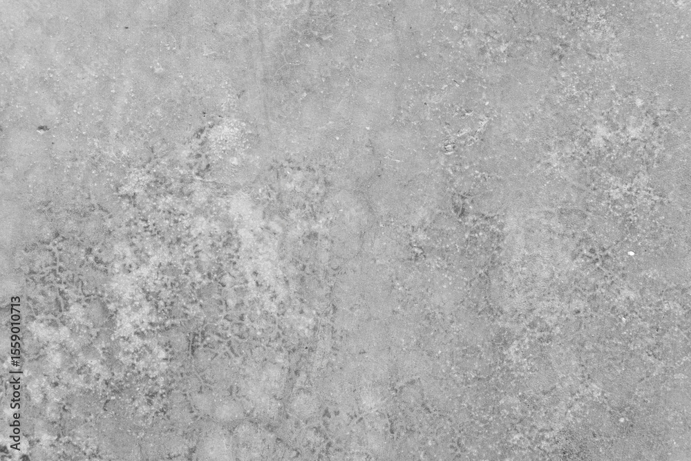 Poster abstract white and silver are light pattern gray with the gradient is the with floor wall metal texture soft tech diagonal background black dark clean modern.
