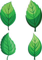 Four stylized green leaves illustration.