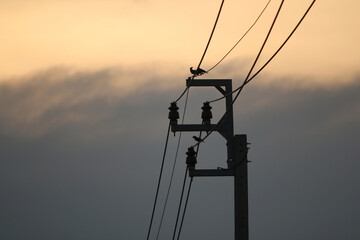 Electric Power Lines Silhouette: A striking silhouette of electric power lines, silhouetted against...