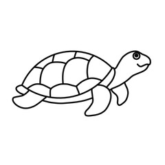 line vector turtle 