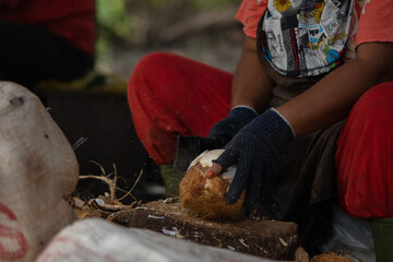 An Asian woman cleans a coconut shell with a special knife. The process of peeling the hard coconut...