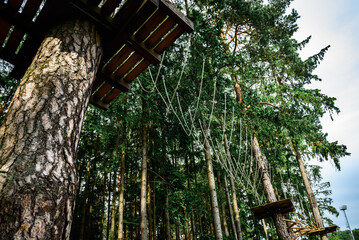Rope obstacle track high in the trees, a rope course in an adventure park in a pine forest, climbing track in adventure park.