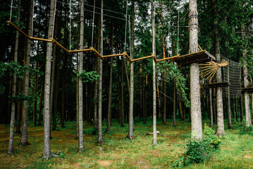 Rope obstacle track high in the trees, a rope course in an adventure park in a pine forest, climbing track in adventure park.
