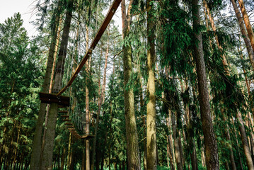 Rope obstacle track high in the trees, a rope course in an adventure park in a pine forest, climbing track in adventure park.