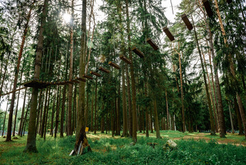 Rope obstacle track high in the trees, a rope course in an adventure park in a pine forest, climbing track in adventure park.