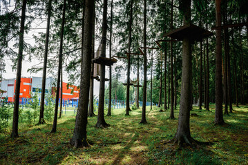 Rope obstacle track high in the trees, a rope course in an adventure park in a pine forest,...