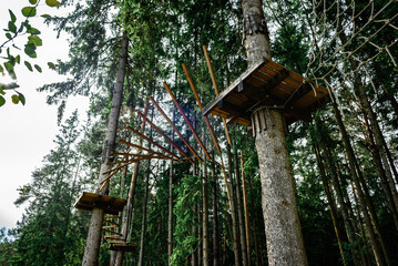 Rope obstacle track high in the trees, a rope course in an adventure park in a pine forest, climbing track in adventure park.