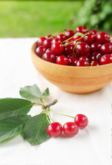 Ripe red cherries in a ceramic bowl with a branch on a white background. Concept of summer berry harvest. Vertical orientation. Selective focus.