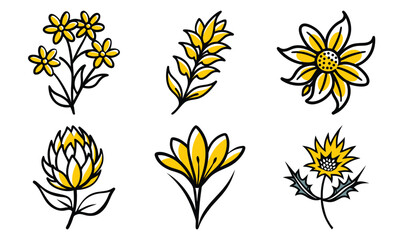 Collection of stylized yellow flowers with black outlines representing various species in a clean illustration