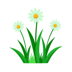Fresh green grass with blooming white daisies vector on transparent background for web and graphic design
