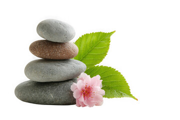 Zen stone stack with pink blossom and green leaves isolated on transparent background