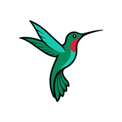 Hand drawn hummingbird illustration vector on transparent background for web and graphic design