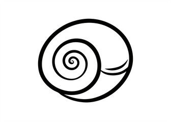 Hand drawn spiral shell illustration on transparent background for web and graphic design