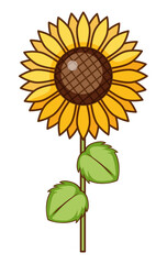 Sunflower in Bloom: The sun-kissed beauty of a single sunflower, with its vibrant yellow petals and sturdy stem, standing tall and radiating warmth and happiness.