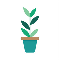 Fototapeta premium Minimalist indoor plant illustration in vector style on transparent background for web and graphic design