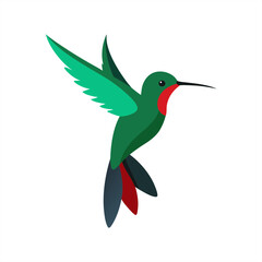Realistic hummingbird vector art on transparent background for web and graphic design