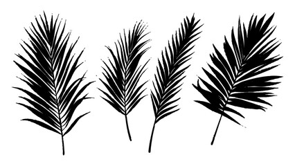 Obraz premium Black palm leaves arranged on a isolated white background. Natural palm leaf shadows isolated on white background. Tropical leaf silhouettes on transparent background for design and decoration.