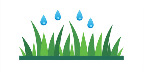 Vector illustration of grass with water droplets on transparent background for web and graphic design