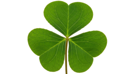 Isolated Green Shamrock Leaf