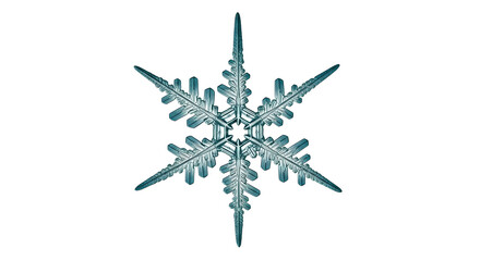 Isolated Snowflake