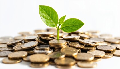 Financial Growth Concept Plant Growing from Pile of Coins