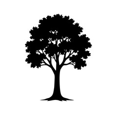 Fototapeta premium Tree Silhouette – Deciduous Tree Vector Illustration for Nature and Landscape Designs